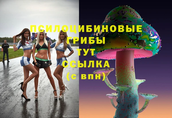 амф Инсар