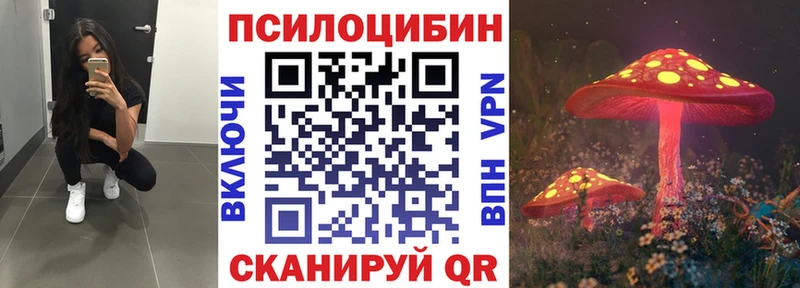 Псилоцибиновые грибы мицелий  Купить закладки  Елабуга 